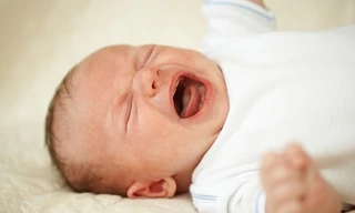 Ảnh minh hoạ: Internet