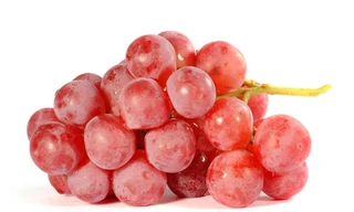 Ảnh minh hoạ: Internet