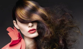 Ảnh minh hoạ: Internet