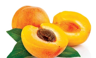 Ảnh minh hoạ: Internet