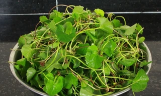 Ảnh minh họa: Internet