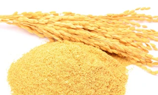 Ảnh minh hoạ: Internet