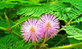 Ảnh minh họa: Internet