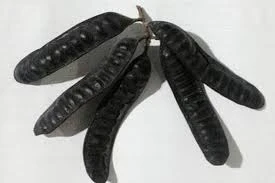 Ảnh minh hoạ: Internet