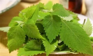 Ảnh minh hoạ: Internet