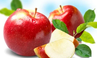 Ảnh minh hoạ: Internet