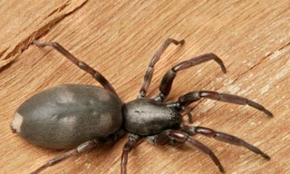 Ảnh minh hoạ: Internet