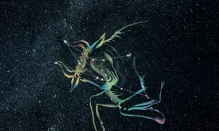 Ảnh minh họa: Internet