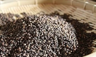 Than hoạt tính thường được sử dụng trong dân gian để điều trị một số bệnh như ăn uống khó tiêu, đầy hơi, chướng bụng… Tuy được coi là thuốc rẻ tiền nhưng nó lại luôn được xem là thuốc đầu tay trong cấp cứu ngộ độc thực phẩm, đặc biệt trong điều trị và xử 