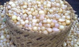 Ảnh minh hoạ: Internet