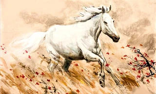 Ảnh minh họa: Internet