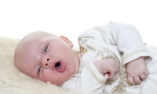 Ảnh minh hoạ: Internet