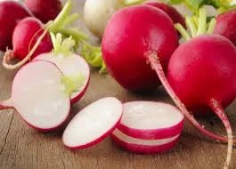 Ảnh minh hoạ: Internet