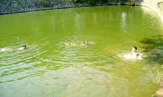 Ảnh minh hoạ: Internet