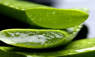 Ảnh minh họa: Internet