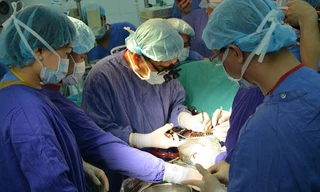 Ảnh minh hoạ: Internet