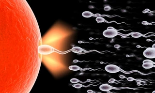 Ảnh minh hoạ: Internet