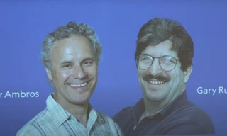 Hai nhà khoa học Victor R. Ambros và Gary B. Ruvkun trở thành chủ nhân giải Nobel Y học