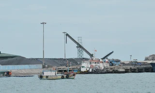 Ảnh minh họa. Nguồn: Tuấn Nguyễn