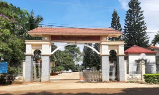 Cty Cà phê Ia Sao 2 bỏ ngoài sổ sách hơn 2,1 tỷ đồng. Ảnh: Đình Văn