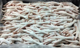 Chân gà đông lạnh. Ảnh minh họa