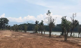 Dự án Resort Spa Cây Bồ Đề của Cty CP Thương mại Đồng Mô được chủ đầu tư san lấp trồng cây 