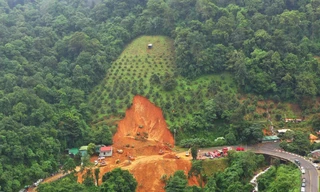 Vụ sạt lở làm 4 người chết ở Bảo Lộc: Chủ sở hữu đồi sầu riêng là ai? 