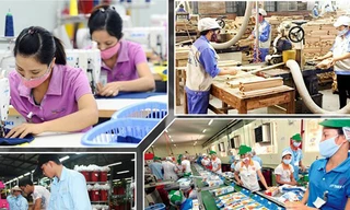 Ảnh minh họa. Nguồn: Internet