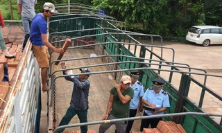 Từ tháng 7/2020, người nộp thuế còn nợ thuế sẽ bị hoãn xuất cảnh