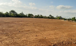 Nhiều khu vực đất nông nghiệp tại Gia Lai bị xé lẻ để tách thửa