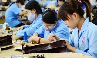 TP.HCM: Đề nghị xử lý hình sự 22 doanh nghiệp nợ BHXH