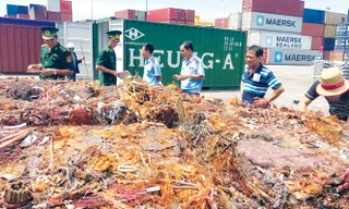 Một vụ nhập lậu đồng phế liệu và kim loại nhôm nhưng được doanh nghiệp khai là vải vụn
