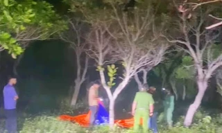 Phát hiện thi thể một phụ nữ bị giấu trong vườn điều