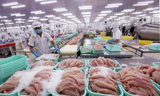 Thủy sản là 1 trong 3 mặt hàng có kim ngach xuất khẩu tỷ USD mỗi năm