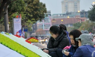 Hàng chục người 'dệt' cờ Mỹ - Triều Tiên bằng ngàn bông hoa