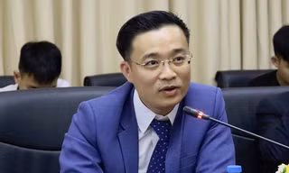 Bị đình chỉ công tác, phủ nhận tiến sĩ, 'nhà báo quốc tế' xin được yên tĩnh