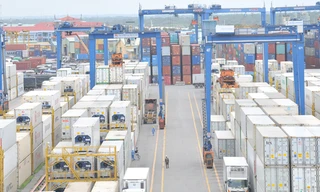 Cảng Cát Lái (TP.HCM) ùn tắc nghiêm trọng vì hàng nghìn container phế liệu tồn đọng