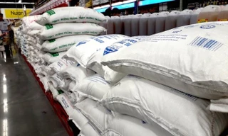 Đường mía 5 nước ASEAN ồ ạt vào Việt Nam, cảnh báo nguy cơ rửa nguồn