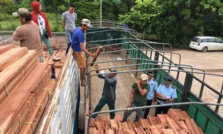 Việt Nam đang đứng đầu Đông Nam Á, thứ 5 thế giới về xuất khẩu gỗ và lâm sản