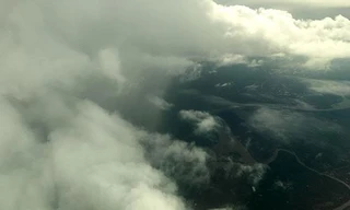 Một cây xanh bị gió quật ngã chắn ngang đường ở huyện Cần Giờ, TPHCM 