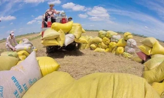 Ảnh minh họa. Nguồn: Internet