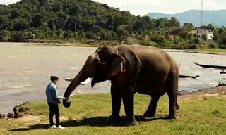 Clip đoạt giải nhất cuộc thi giới thiệu về cà phê Buôn Ma Thuột có gì đặc biệt?