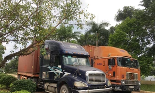 Hai container rỗng vừa được Cục Hải quan Bình Phước bàn giao cho Công an Bình Phước tiếp tục điều tra, xử lý. Ảnh: Tuấn Nguyễn