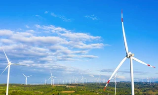 Thanh tra Chính phủ yêu cầu Đắk Lắk thu hồi hàng trăm tỷ đồng 