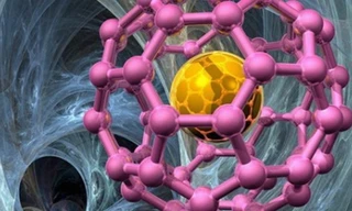 Phương pháp mới ngăn chặn tế bào ung thư phát triển