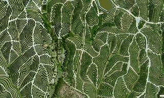 Sự thu hẹp rừng trong ba thập kỷ nhìn từ vệ tinh