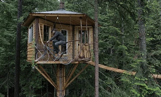 8 ngôi nhà cây độc đáo nhất thế giới