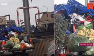 Những chuyến xe 'chở cả quê hương' về phố thị gây sốt mạng xã hội