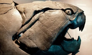 Quái ngư tiền sử nặng 3 tấn có hàm răng sắc như máy chém