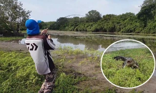 Câu được cá lớn, cần thủ tháo chạy do cá sấu rượt đuổi